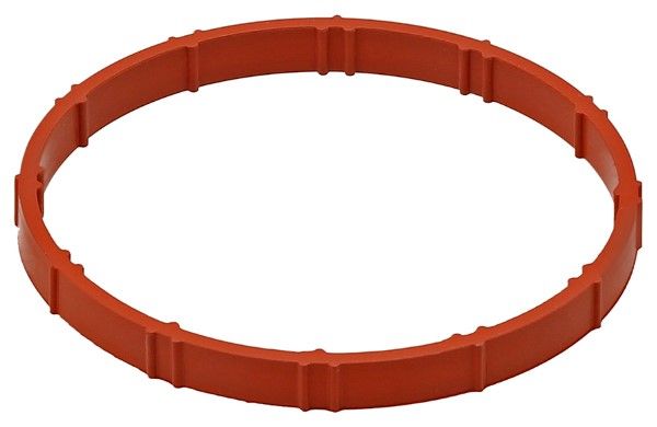 ELRING Brtva, kućište usisne koljenaste cijevi