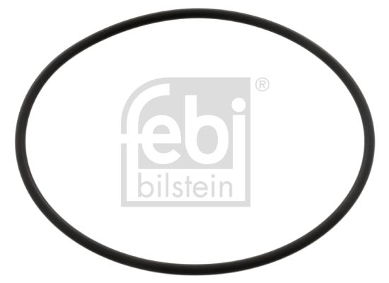 Febi Brtva, vodena pumpa