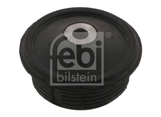 Febi Uležištenje, tijelo osovine