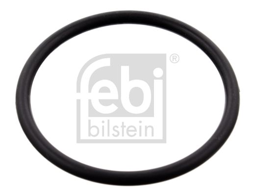 Febi Brtva, kućište termostata