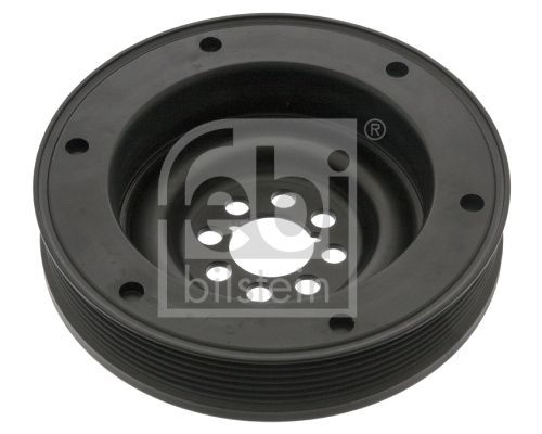 Febi Remenica, radilica