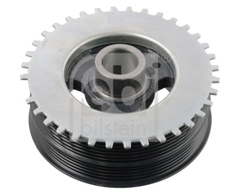 Febi Remenica, radilica