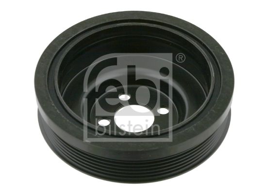 Febi Remenica, radilica