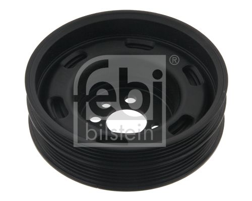 Febi Remenica, radilica