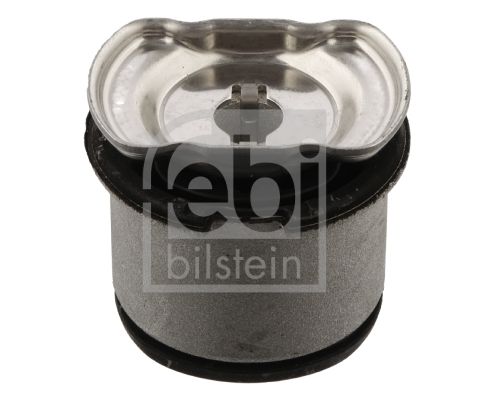 Febi Uležištenje, tijelo osovine