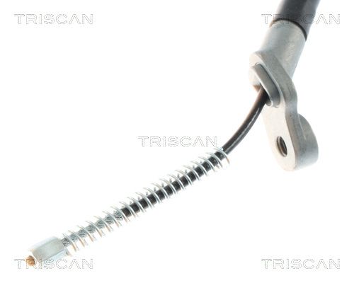 TRISCAN Lim za zaštitu od prskanja, kočni disk