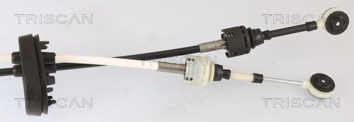 TRISCAN Kočiono crijevo