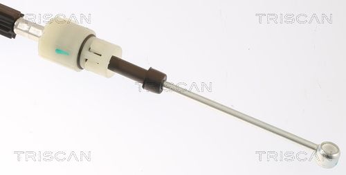 TRISCAN Kočiono crijevo