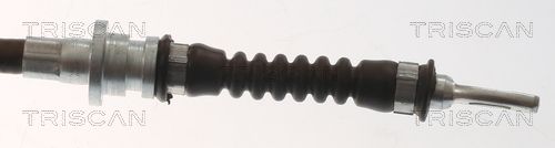 TRISCAN Kočiono crijevo