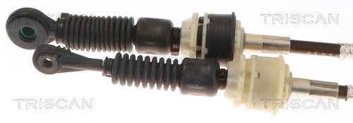 TRISCAN Kočiono crijevo