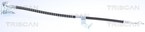 TRISCAN Kočiono crijevo