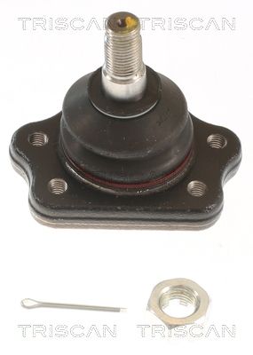 TRISCAN Nosivi/vodeći zglob