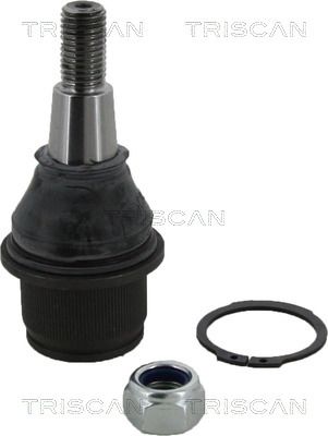 TRISCAN Šipka/potporanj, stabilizator