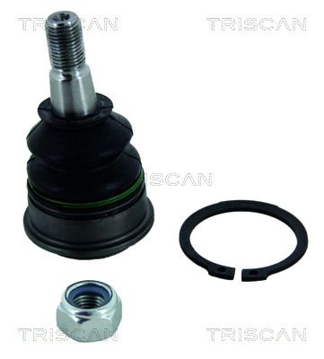 TRISCAN Šipka/potporanj, stabilizator