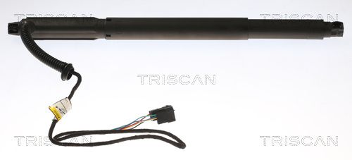 TRISCAN Plinska opruga, prtljažnik/teretni prostor