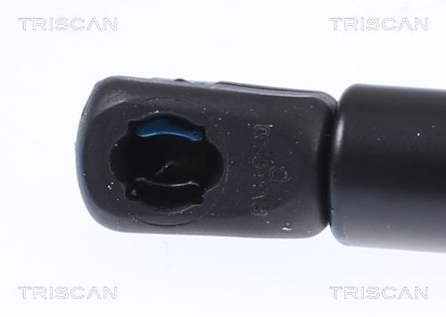 TRISCAN Plinska opruga, poklopac motora