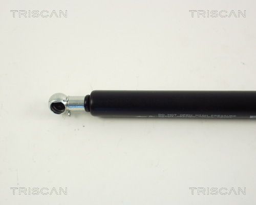 TRISCAN Plinska opruga, prtljažnik/teretni prostor