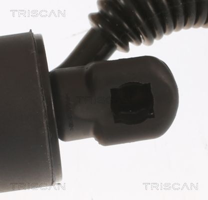 TRISCAN Plinska opruga, prtljažnik/teretni prostor