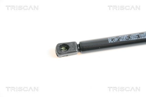 TRISCAN Plinska opruga, prtljažnik/teretni prostor