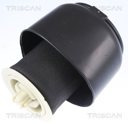 TRISCAN Zračno ogibljenje, vozni postroj