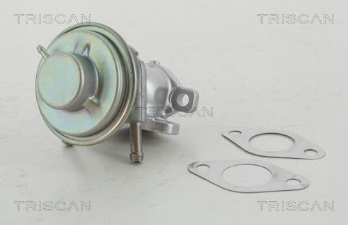 TRISCAN AGR-ventil