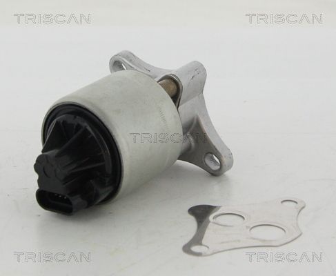TRISCAN AGR-ventil