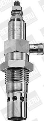 BorgWarner (BERU) Grijač