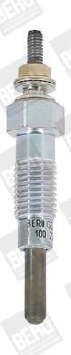 BorgWarner (BERU) Grijač