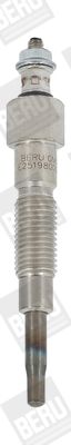 BorgWarner (BERU) Grijač