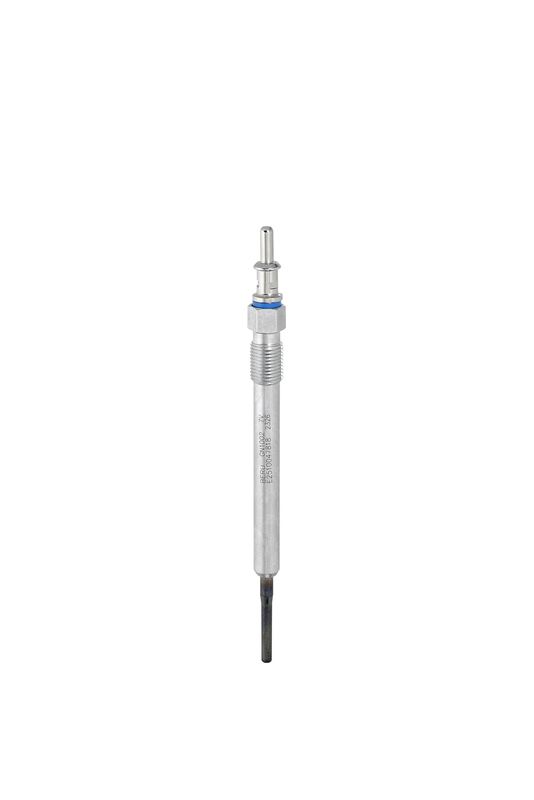 BorgWarner (BERU) Žarnica