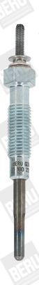BorgWarner (BERU) Grijač