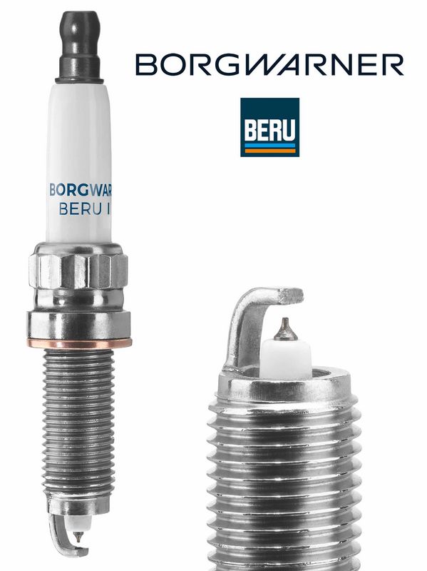 BorgWarner (BERU) Svjećica
