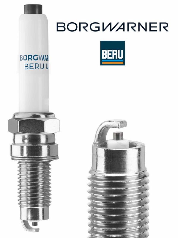 BorgWarner (BERU) Svjećica