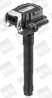 BorgWarner (BERU) Svjećica