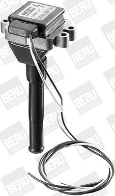 BorgWarner (BERU) Svjećica