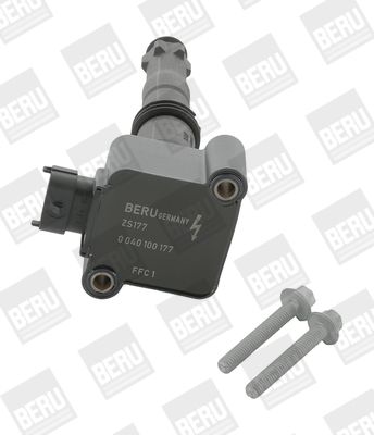 BorgWarner (BERU) Svjećica