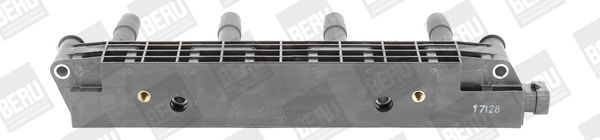 BorgWarner (BERU) Svitak za paljenje