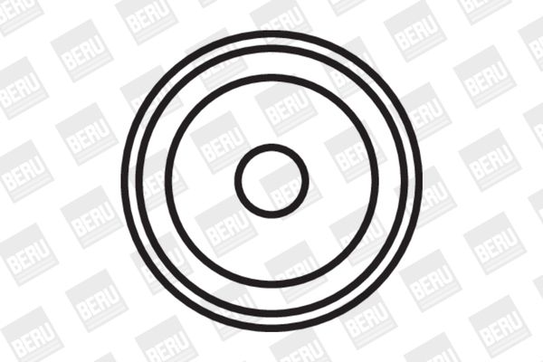 BorgWarner (BERU) Svitak za paljenje