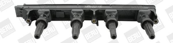 BorgWarner (BERU) Svitak za paljenje