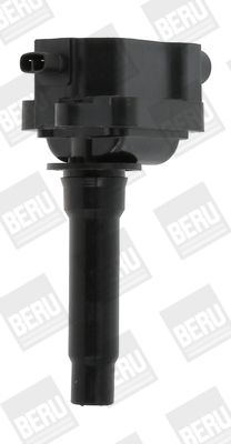 BorgWarner (BERU) Svitak za paljenje