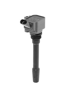 BorgWarner (BERU) Indukcijski svitak