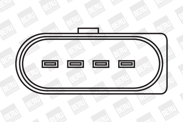 BorgWarner (BERU) Svitak za paljenje