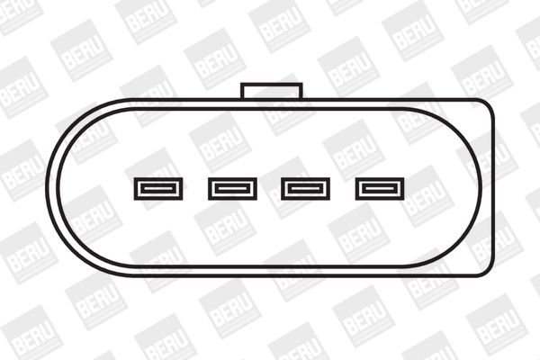 BorgWarner (BERU) Svitak za paljenje