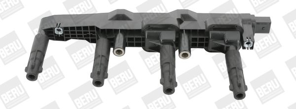 BorgWarner (BERU) Svitak za paljenje