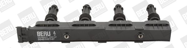 BorgWarner (BERU) Svitak za paljenje
