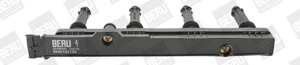 BorgWarner (BERU) Svitak za paljenje