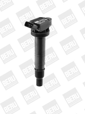 BorgWarner (BERU) Svitak za paljenje - bobina