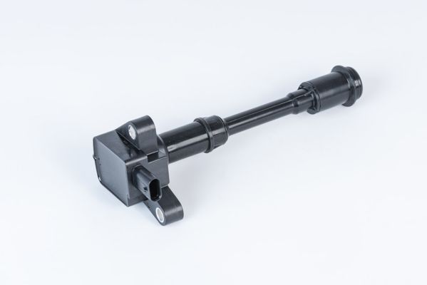 BorgWarner (BERU) Indukcijski svitak