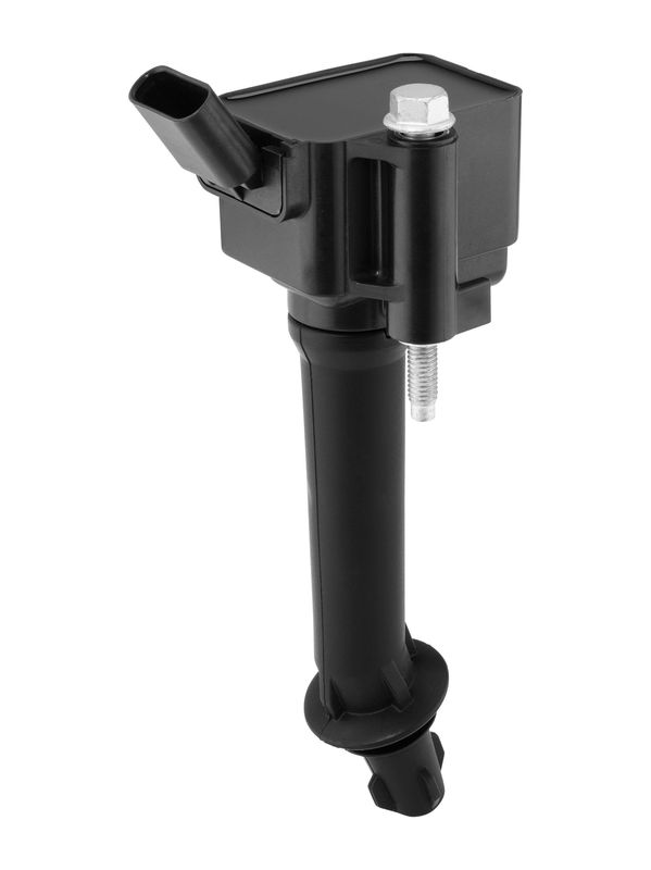 BorgWarner (BERU) Indukcijski svitak