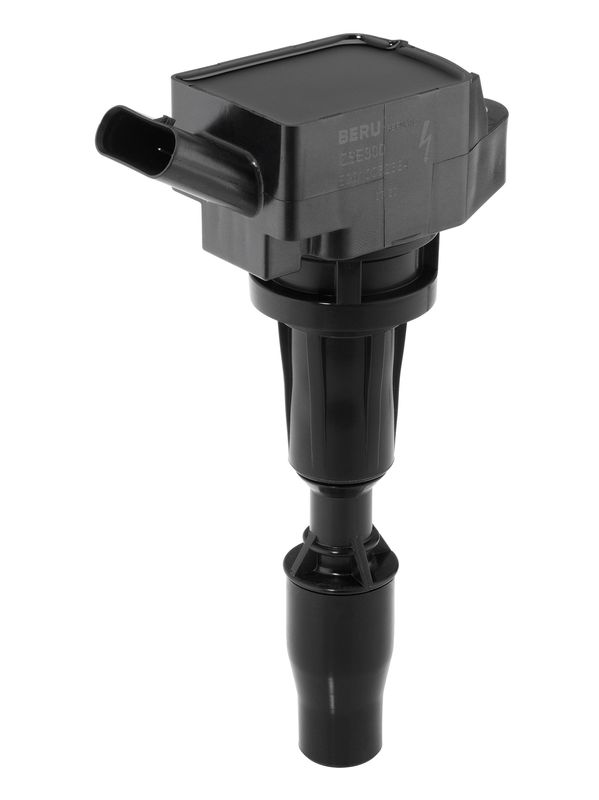 BorgWarner (BERU) Svitak za paljenje - bobina